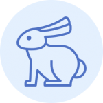 rabbit (2)