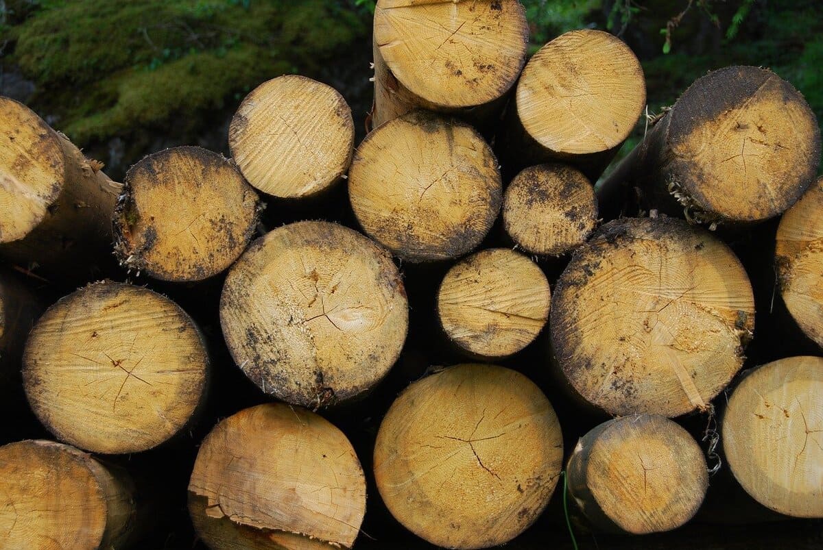 Biomasse bois